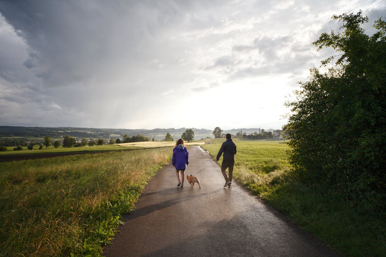 Sådan Forbereder du din Hund til en Lang Vandretur